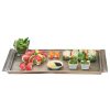 Metal Serving And Display Platters / Trays * Cal-Mil 3672-1123 Cold Concept 23 1/2 X 11 1/2 X 1 1/2 Aluminum Platter