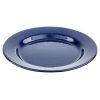 Enamelware * Tablecraft 10164 Enamelware 10 1/4 Round Blue Plate With Speckles