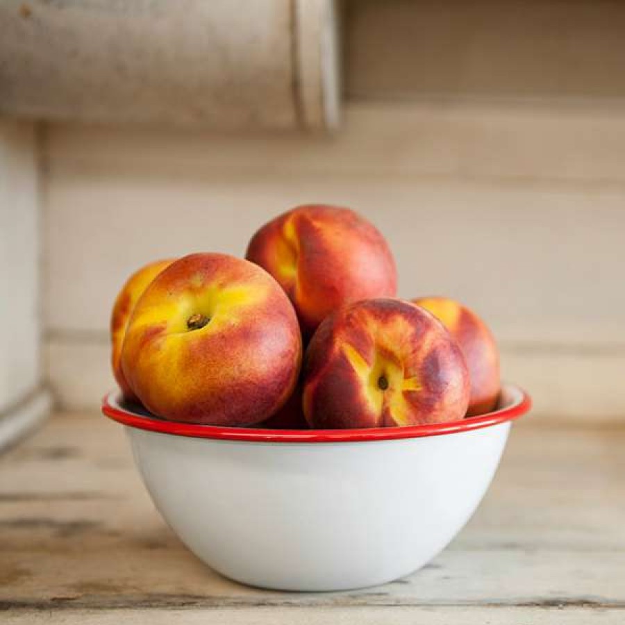 Enamelware * Crow Canyon Home V17Red Vintage 20 Oz. White Round Enamelware Bowl With Red Rolled Rim